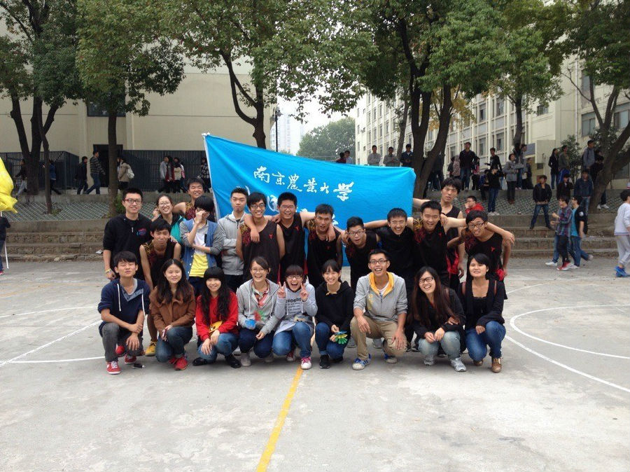 图片上传